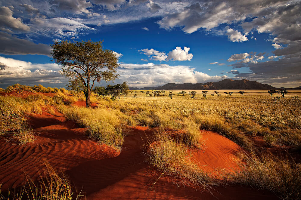 Post Thumbnail - ICL Signs MOU to Establish Phosphate Operation in Namibia