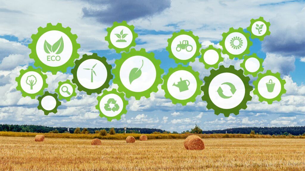 Post Thumbnail - New Zealand’s Leadership in Sustainable Food System Shines During Food, Agriculture and Livelihoods Week at Expo 2020 Dubai
