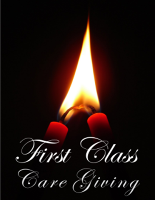 Winner small image - First Class Care Giving