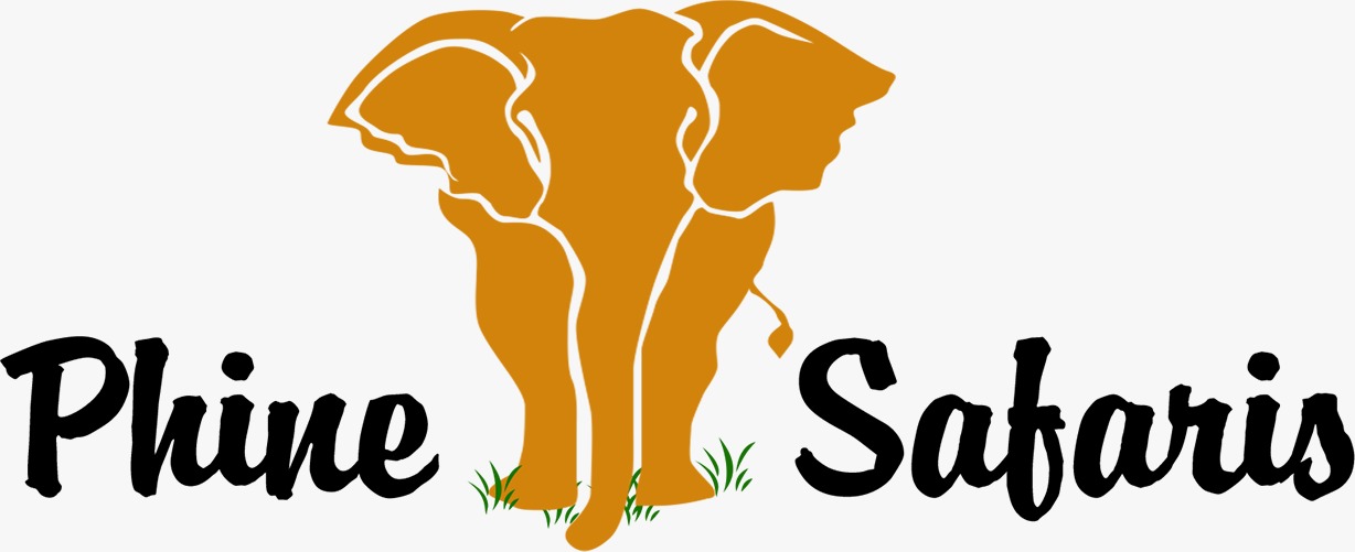 Winner small image - Phine Safaris
