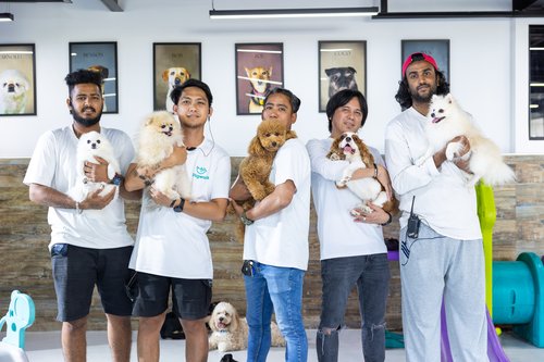 Winner small image - Dogwalk Pets Nursery