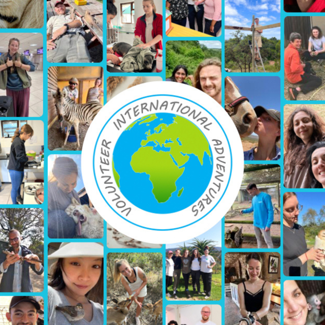 Winner small image - Volunteer International Adventures
