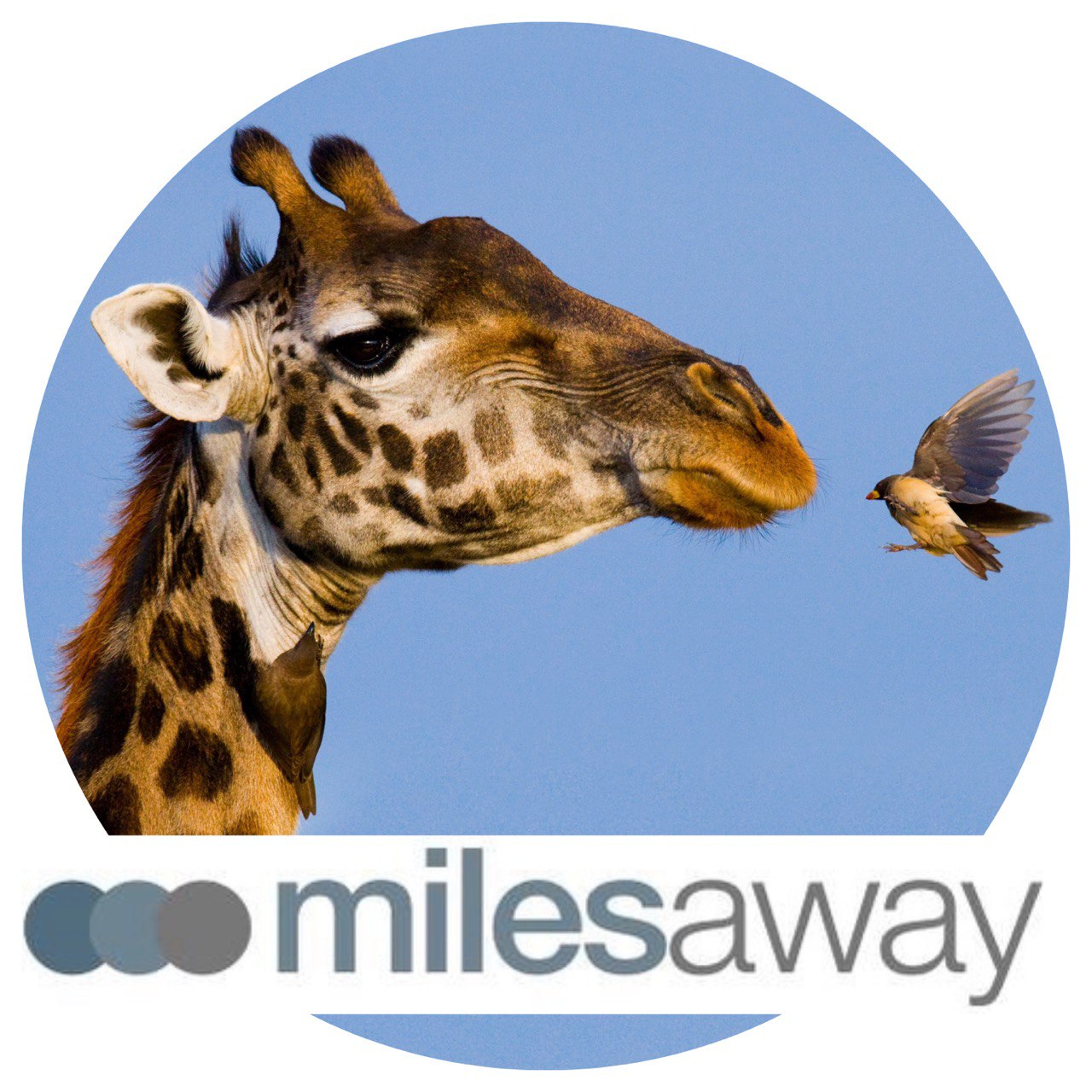 Winner small image - Miles Away Travel
