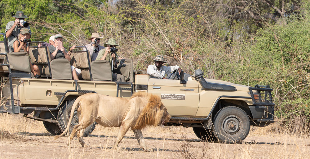 Winner small image - Absolute Zambia Safaris