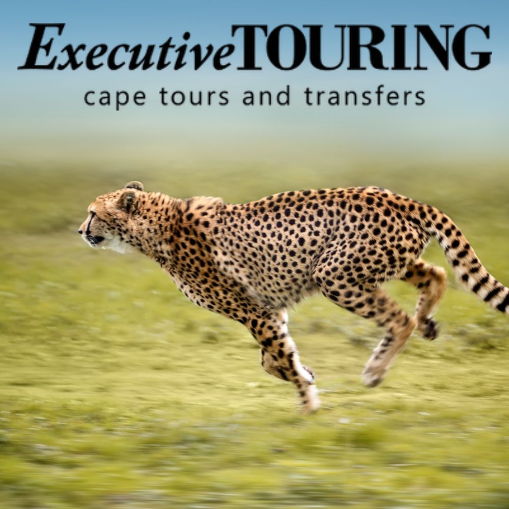 Winner small image - Executive Touring