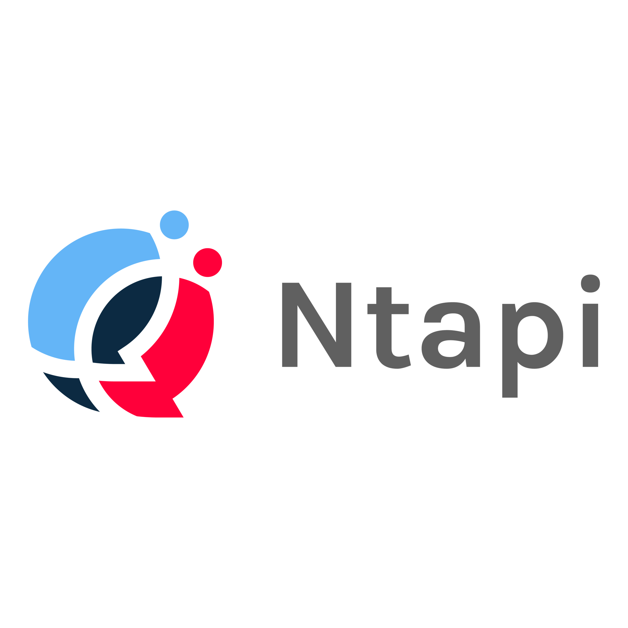 Winner small image - Ntapi, Inc.