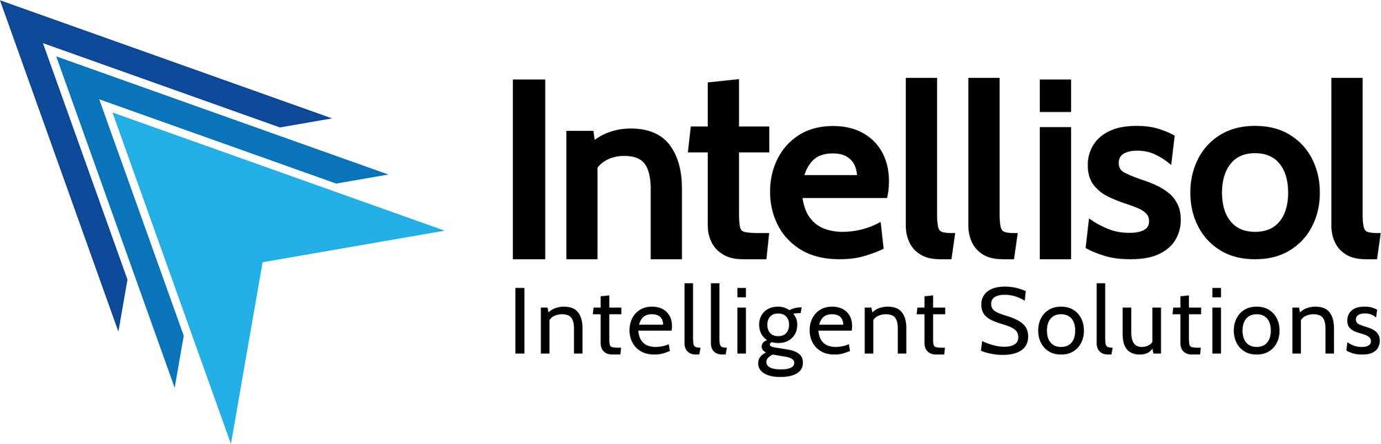 Winner small image - Intellisol