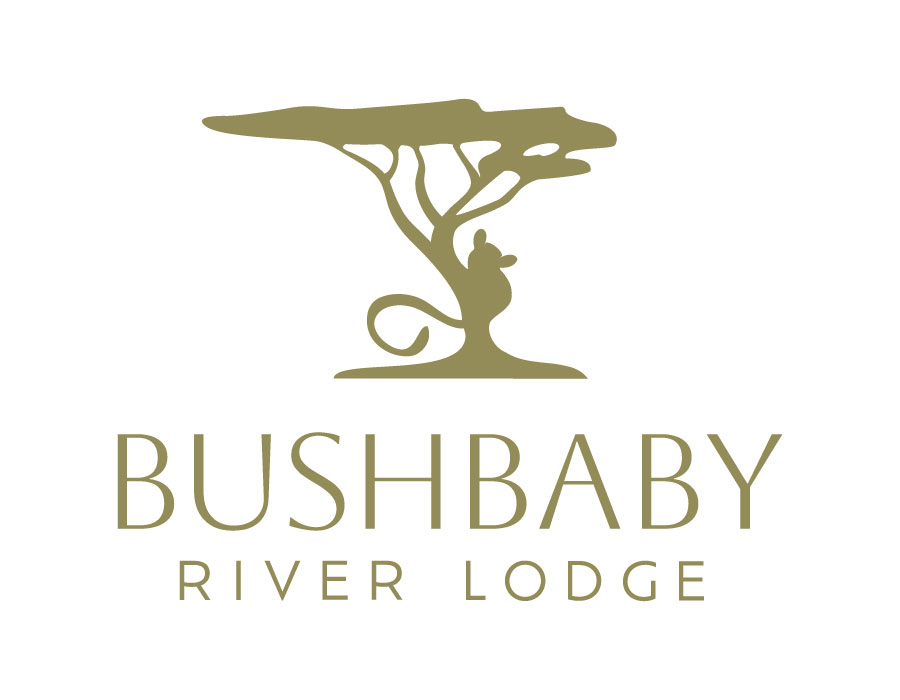 Winner small image - Bushbaby River Lodge
